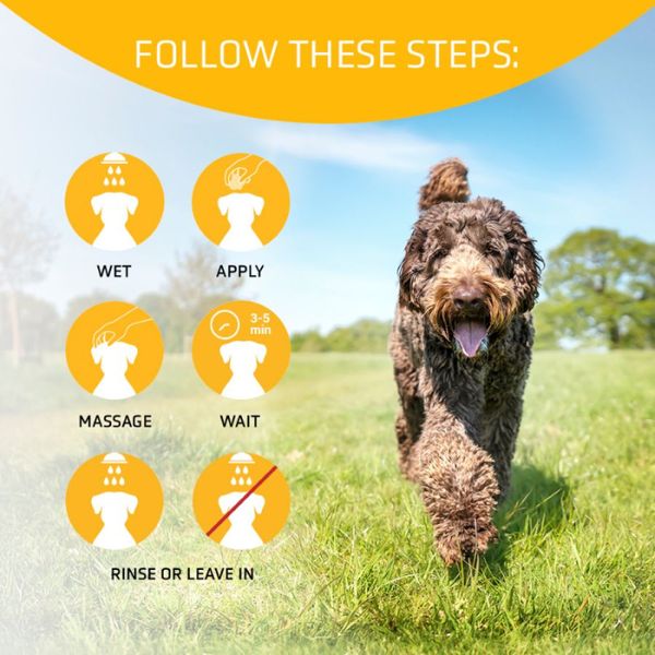 Artero Ikon Vital Balsam, 5 ltr