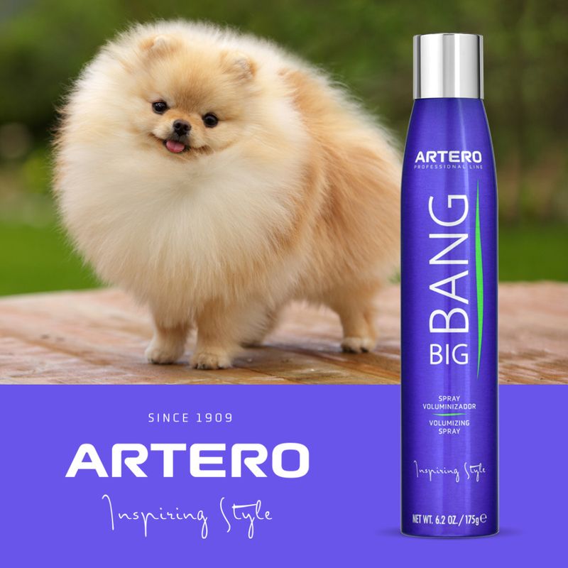  Artero Big Bang 300ml